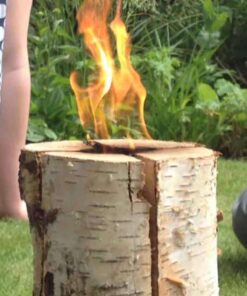 Swedish Torch - Birch (Large) - Pack of 3