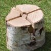 Swedish Torch - Birch (Small) - Pack of 3