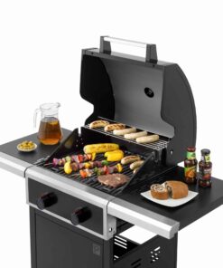 Tepro Keansburg 2 Burner Gas BBQ Grill